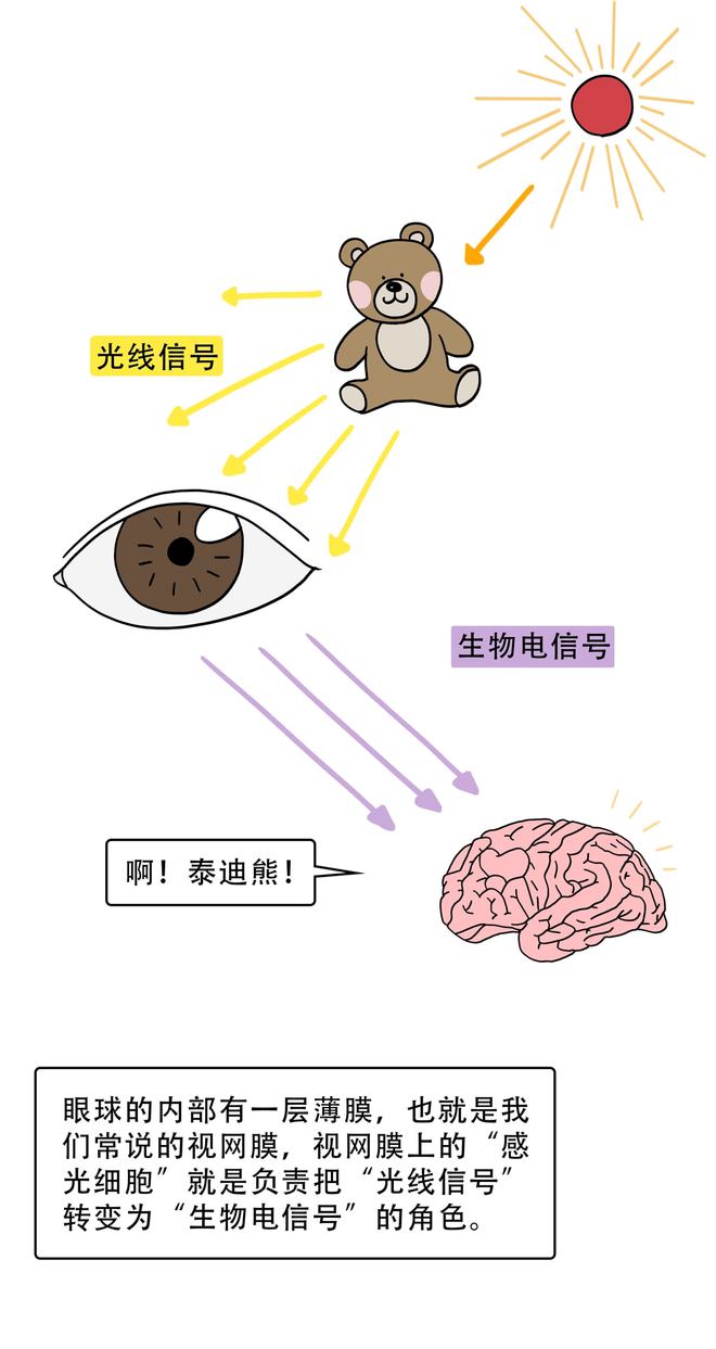 关灯刷手机真的会瞎吗？(图9)
