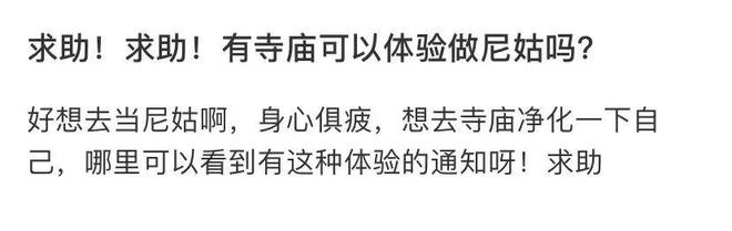 这届年轻人最爱的穿搭，人均甘露寺在逃尼姑(图28)