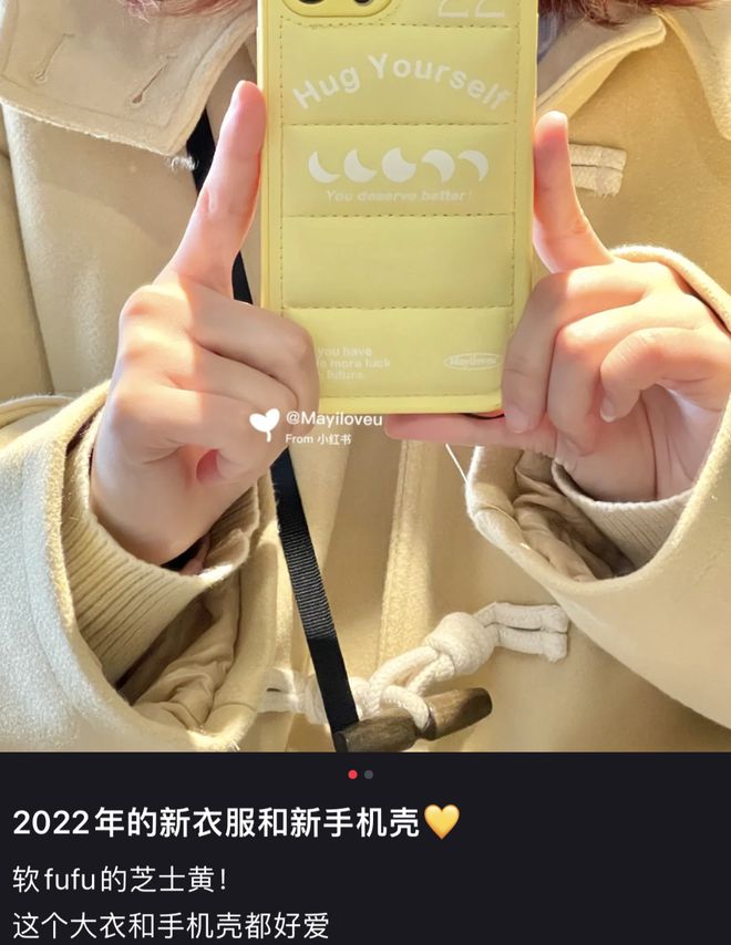 为啥现在的年轻人，沉迷囤手机壳？(图12)