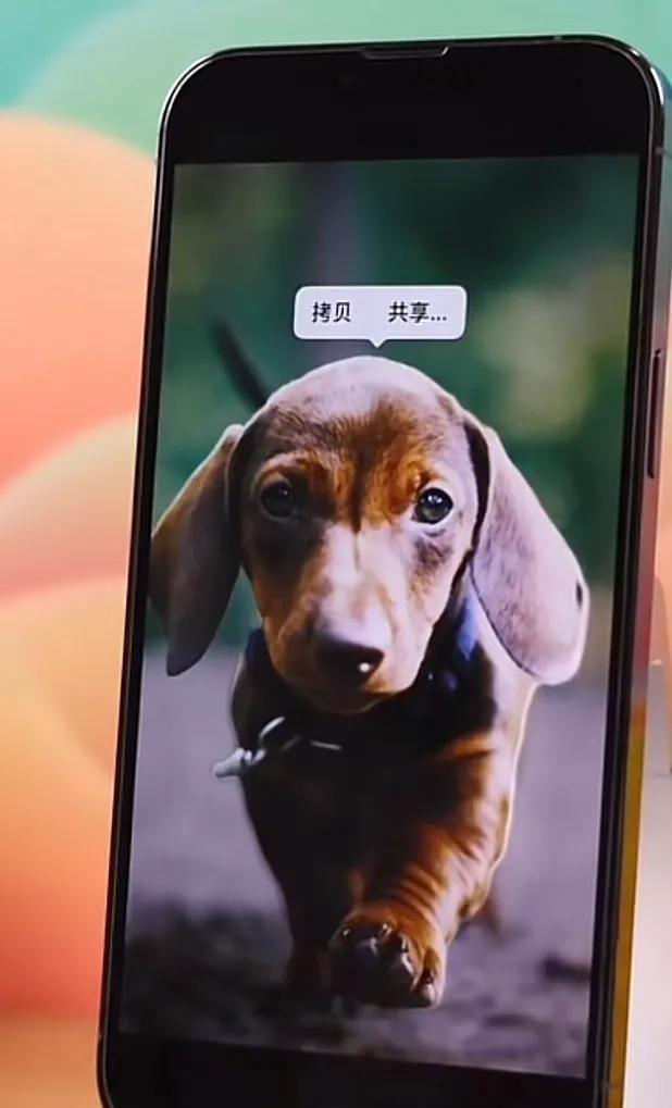 iOS 16你更新了吗？这些新功能一定要知道！(图2)